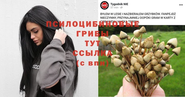 мдпв Балабаново