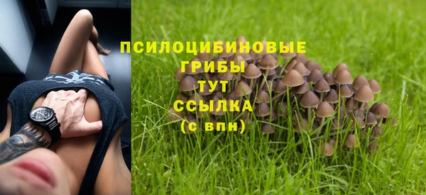 мдпв Балабаново